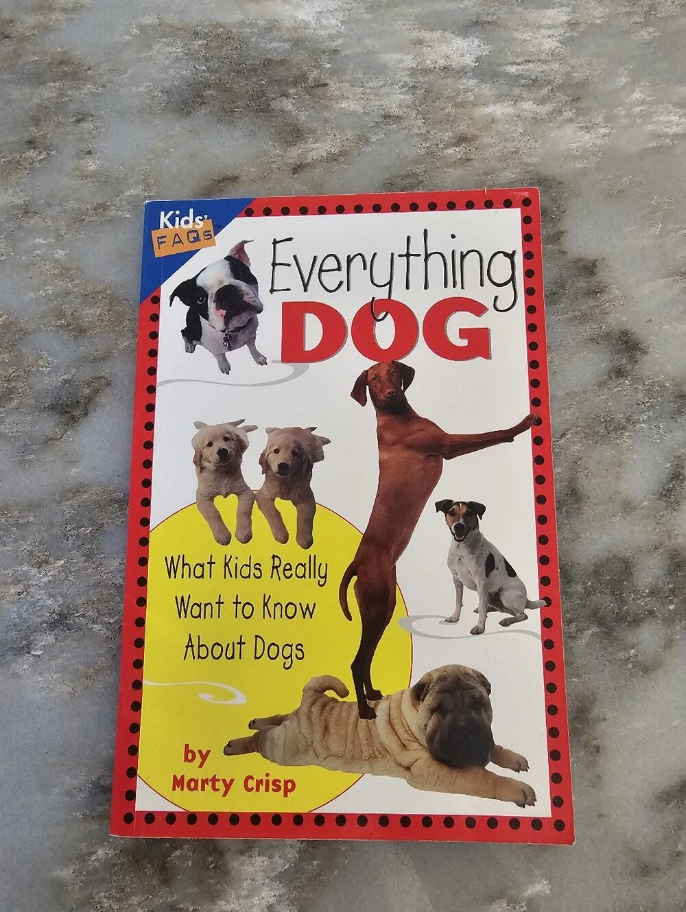 Everything Dog Marty Crisp Kids FAQs Childrens Nonfiction Pet Educational Book